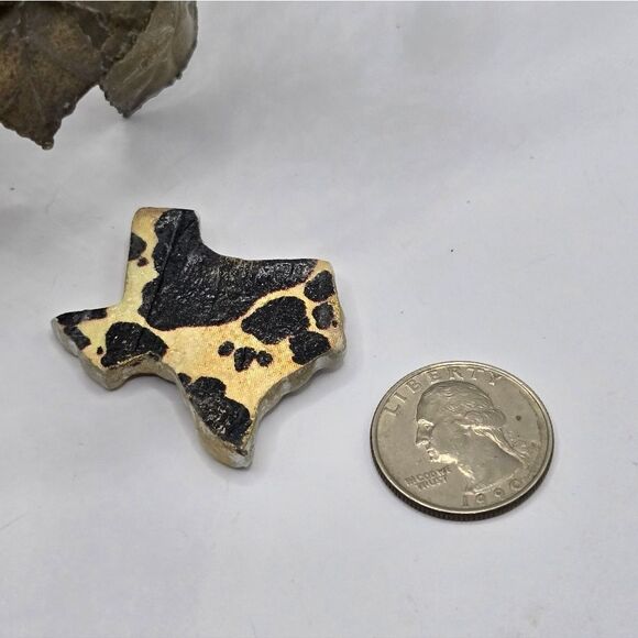 "5/$25" Handcrafted Clay Cowprint State Of Texas Muni Fridge Magnet - Picture 2 of 4